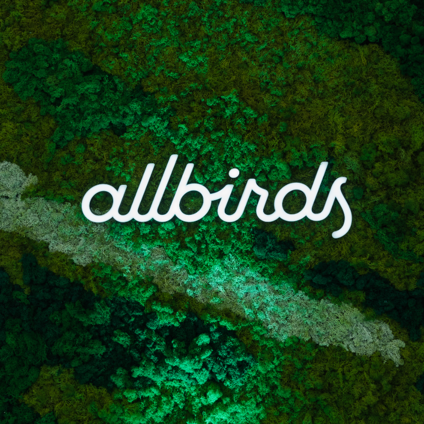 Why ALLBIRDS Is “The World’s Most Comfortable Travel Shoes”