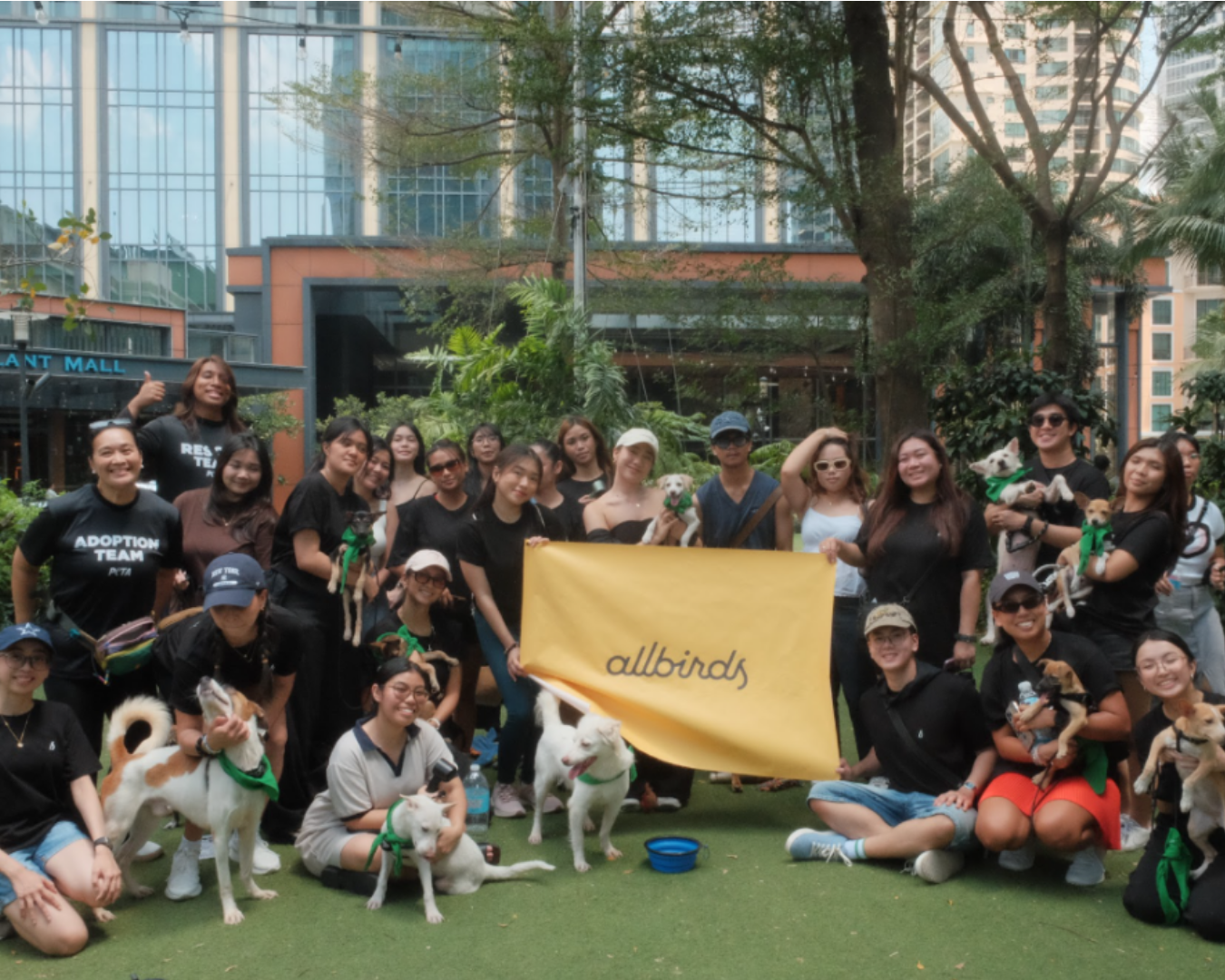 Paws, Paths, and Purpose: Allbirds x Ampon Alaga Sip and Walk