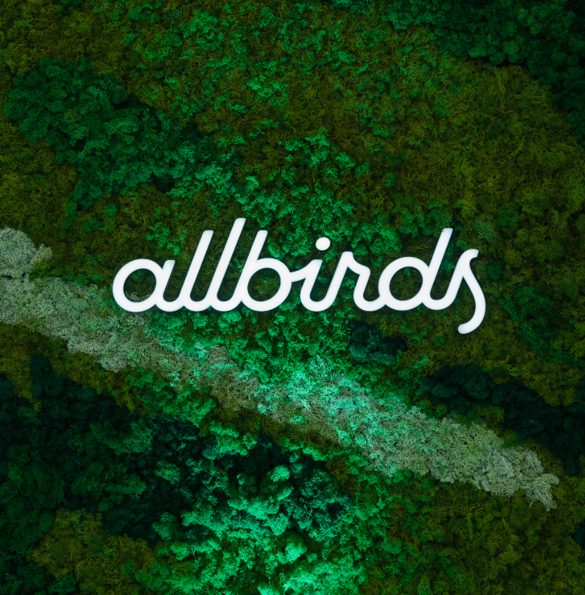 Why ALLBIRDS Is “The World’s Most Comfortable Travel Shoes”